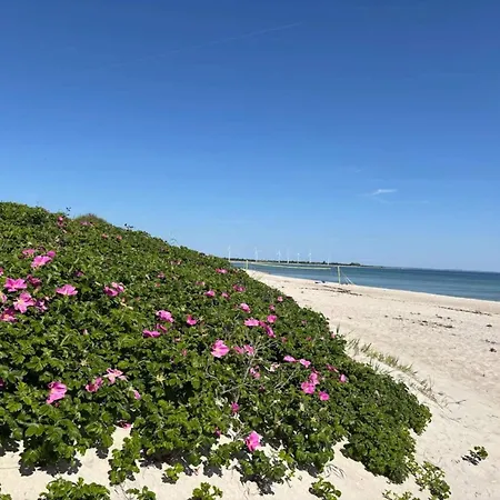 Casa vacanze 8 Person In Sydals Sarup