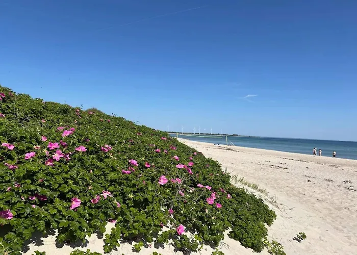 Hébergement de vacances 8 Person In Sydals Sarup